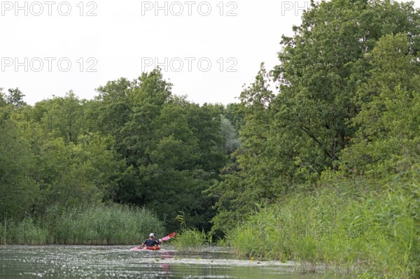 Canoe, trees, Alte Fahrt canal between Bolter Schleuse lock and Caarpsee lake, Müritz National Park, Mecklenburg Lake District, Mecklenburg-Western Pomerania, Germany