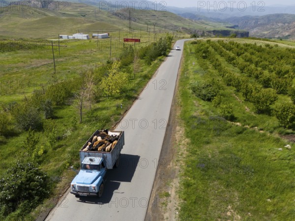 A lorry driving on a country road surrounded by green countryside, aerial view, lorry transporting cows, near Jermuk, Jermuk, Vayoz Dzor province, Armenia