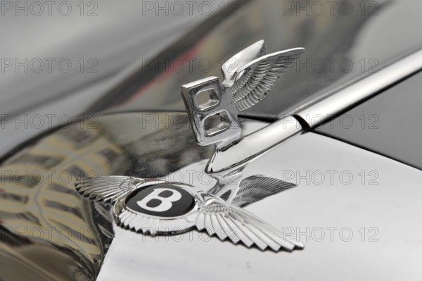 Bentley emblem on a shiny bonnet, symbolising luxury and elegance, Retro Classics meets Baroque, Ludwigsburg, Baden-Württemberg, Germany