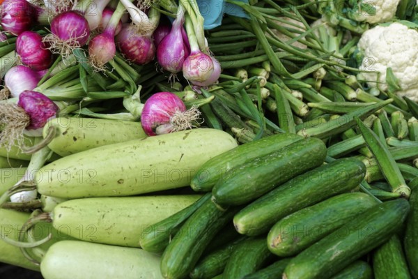 Udaipur, Rajasthan, North India, Asia, Fresh vegetables such as courgettes, onions, okra and cauliflower are arranged on a market stall
