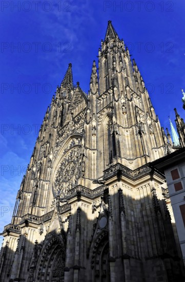 St Vitus or St Vitus Cathedral, Hradcany, Prague, Czech Republic, Europe, Sublime Gothic building with rose window, shining in the morning light against a deep blue sky