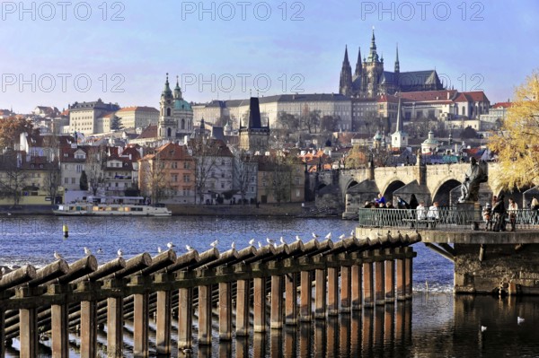 Prague, Czech Republic, Europe, Urban view of Prague on a sunny autumn day with a view of the bridge and river
