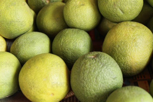 Kota, Rajasthan, North India, Asia, Green-yellow oranges in various stages of ripeness, lying close together, natural texture, India