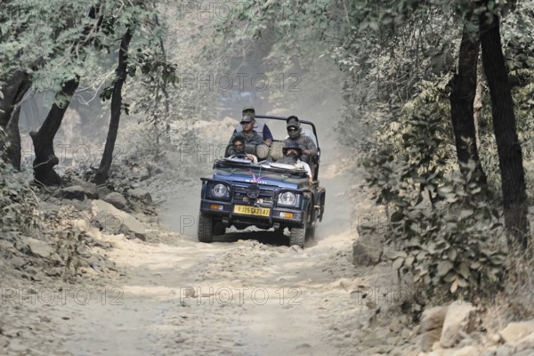 Ranthambhore Tiger Reserve, Sawai Madhopur, Kota, Rajasthan, North India, Asia, Jeep with drivers steering through a dusty forest road, India