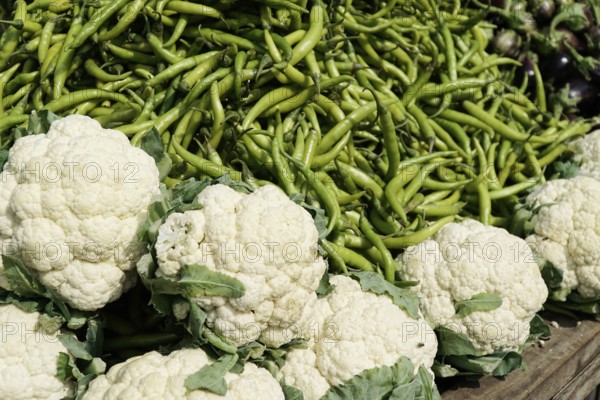Kota, Rajasthan, North India, Asia, Fresh vegetables with cauliflower and green beans on a market stall, India
