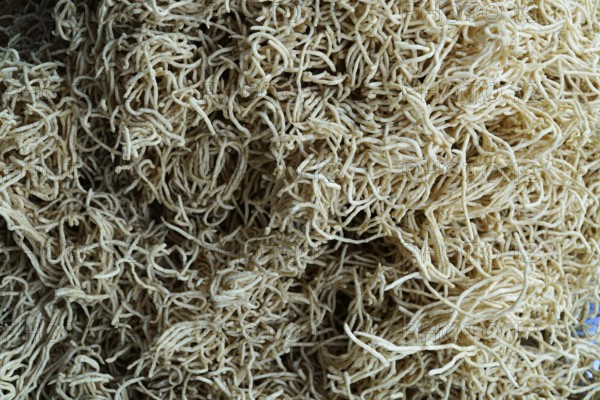 Kota, Rajasthan, North India, Asia, Pile of beige, dried noodles in a chaotic pattern, India
