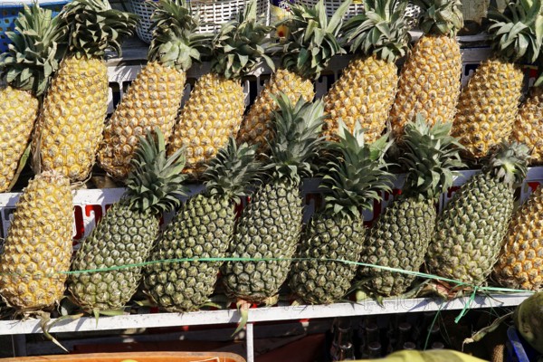 Udaipur, Rajasthan, North India, India, Asia, Several pineapples in yellow and green offered for sale in a street market