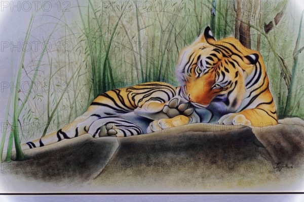 Painting, Sale, Souvenir, Udaipur, Rajasthan, India, Asia, A tiger lies relaxed on a rock surrounded by grass in a quiet atmosphere, North India