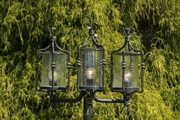 Three illuminated lanterns in front of a dense green tree, südlohn, westphalia, germany