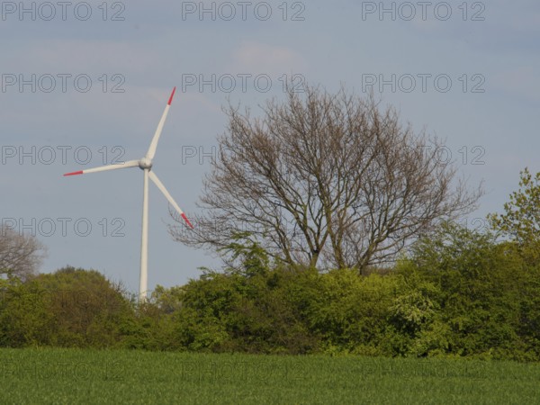 A wind turbine stands above green trees under a blue sky, weseke, münsterland, germany
