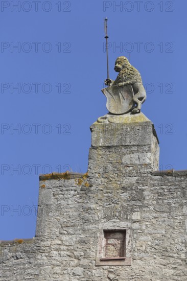 Roof figure with shield and flag on the stepped gable of the cathedral chapter palatium, lion figure, detail, cut-out, stepped gable, Ochsenfurt, Lower Franconia, Franconia, Bavaria, Germany