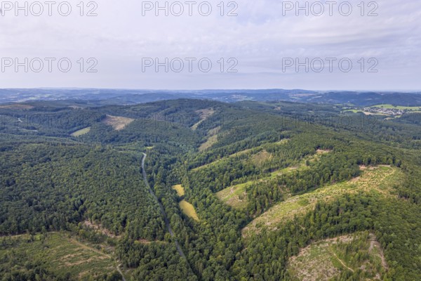 Aerial photograph, Arnsberg forest and forest damage, Stockumer Höhe, Arnsberg, Ruhr area, North Rhine-Westphalia, Germany, tree mortality, DE, Europe, distant view, clear-cutting, calamity areas, aerial photograph, aerial photography, aerial photography, overview, bird's-eye view, forest, forest damage, forest mortality, birds-eyes view, overview