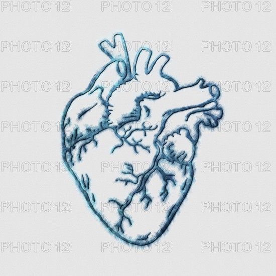 Heart, Mind and Emotional Connection Concept