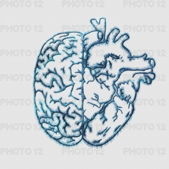 Half Brain Half Heart, Mind and Emotion Concept, Psychology