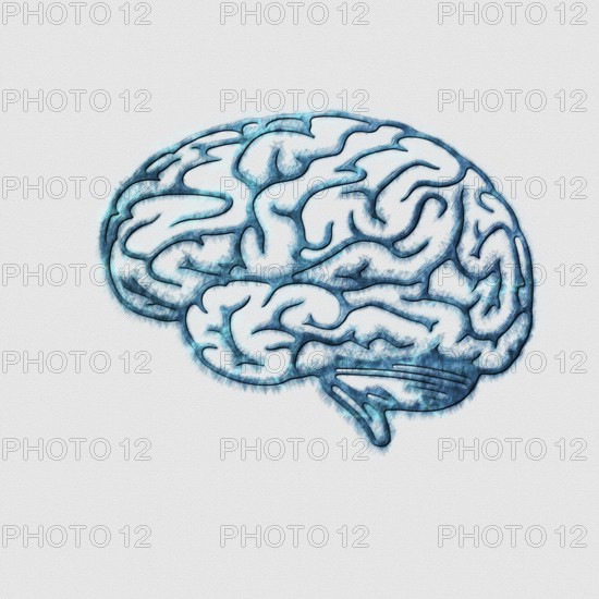 Mind and Psychology Concept, Side View Brain