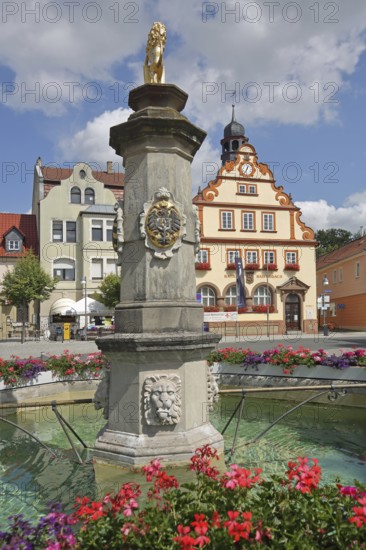 Market square with market fountain with column and heraldic animal, town hall, floral decoration, Bad Rodach, Upper Franconia, Franconia, Bavaria, Germany