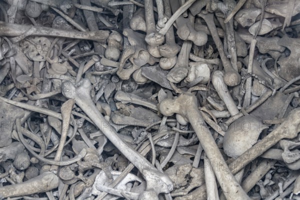 Lots of human bones from fallen soldiers seen at the Douaumont Ossuary, a memorial located near Verdun in France