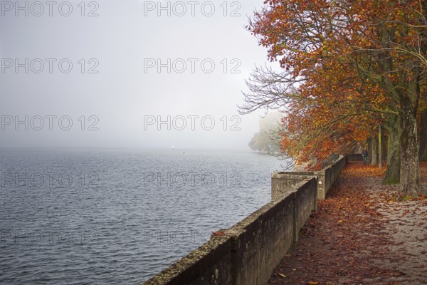 A misty autumn day on Lake Constance with trees in red-orange autumn leaves, Lindau