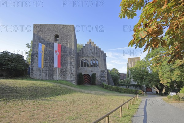 Inner courtyard and town flag, building, Salzburg Castle, Bad Neustadt an der Saale, Rhön, Lower Franconia, Franconia, Bavaria, Germany