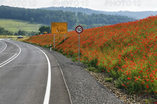Empty federal road B 240, little traffic, traffic signs, speed limit 50 km/h, poppy blossom on the roadside, Eschershausen, Weserbergland, Holzminden, Lower Saxony, Germany
