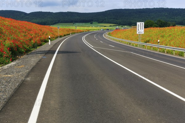 Empty federal road B 240, little traffic, poppy blossom, Eschershausen, Weserbergland, Holzminden, Lower Saxony, Germany