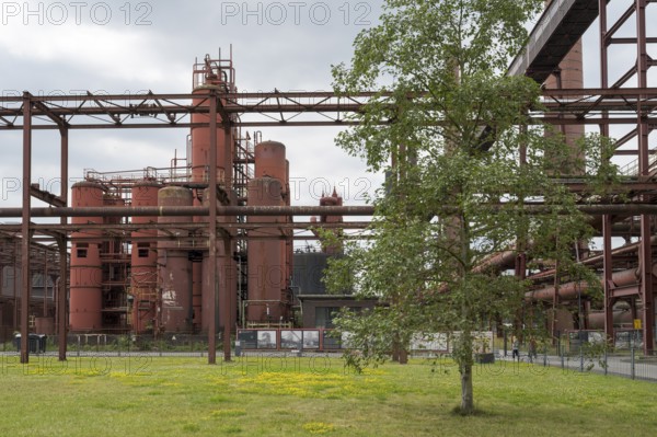 Pre-coolers and chimneys on the site of the coking plant, Zollverein Coal Mine Industrial Complex, UNESCO World Heritage Site, Route of Industrial Heritage, Essen, Ruhr area, North Rhine-Westphalia, Germany