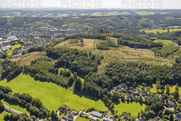 Aerial view, forest area with forest damage in hilly landscape, Herrnscheid Berg, Drolshagen, Sauerland, North Rhine-Westphalia, Germany, tree mortality, bark beetle damage, bark beetle plague, DE, Europe, clear-cutting, calamity areas, aerial view, aerial photography, aerial photography, Ruhr area, overview, bird's-eye view, forest, forest damage, birds-eyes view, overview