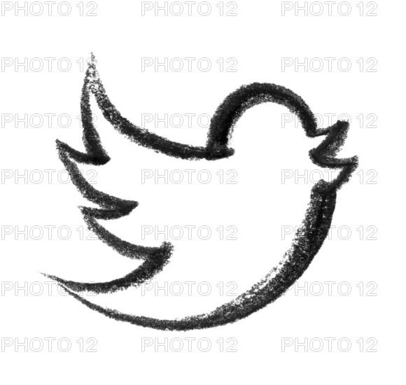 Crayon-sketched illustration of a flying bird