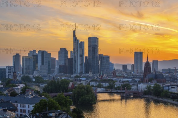 Frankfurt City Skyscrapers, Residential Buildings, Bridges and Main River at Fiery Sunset. Aerial View. Golden Hour. Hesse, Germany