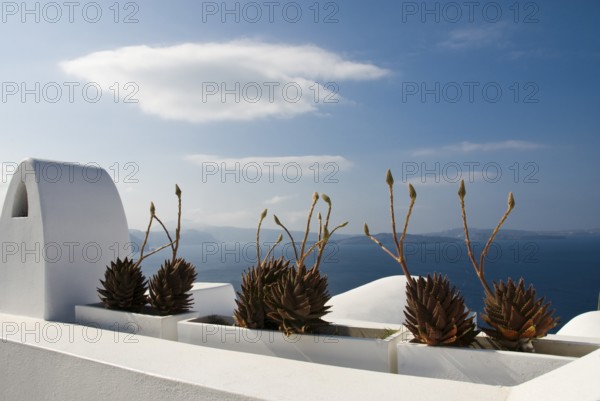 Beautiful mountain village of Oia in the north of the Cyclades island of Santorini, Cyclades, Oia, Santorini, Greece