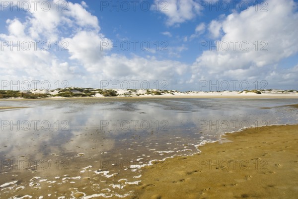 Water reservoir between the dunes of the North Frisian island of Amrum, Amrum, Norddorf, North Frisia, Germany