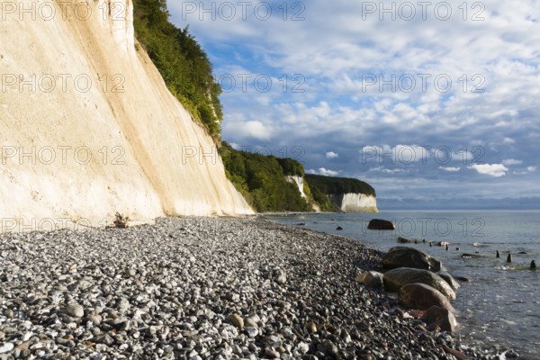 Jasmund chalk cliffs, Ruegen, Sassnitz, Ruegen, Germany