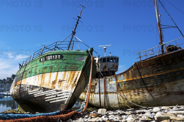 Ship cemetery in the harbour of Camaret-Sur-Mer, West French coast, Camaret-Sur-Mer, Brittany, France