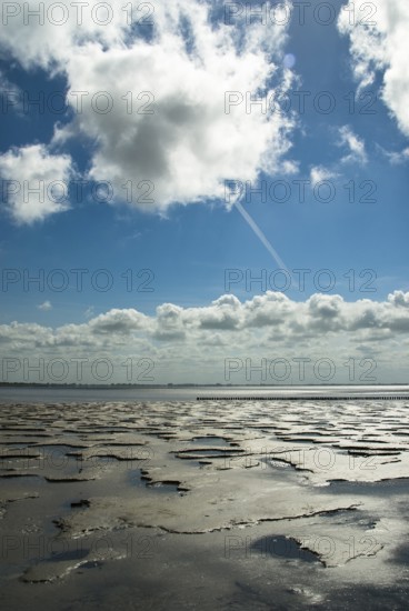 Germany - Wadden Sea in Sehestedt am Jadebusen, Germany, Sehestedt, Lower Saxony, Germany