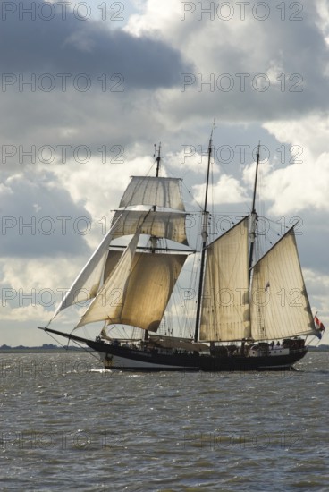 Three-masted topsail schooner Oosterschelde (built 1917), Rotterdam, harbour of Bremerhaven, Bremerhaven, Lower Saxony, Germany