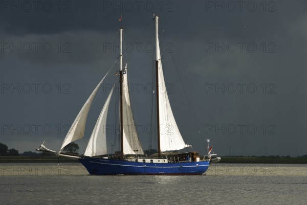 Two-masted gaff schooner Stortemelk (built 1961-62), Amsterdam, harbour of Bremerhaven, Bremerhaven, Lower Saxony, Germany