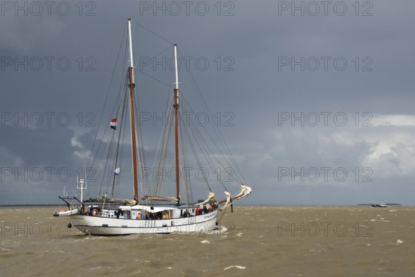2-masted topsail schooner Flying Dutchman, harbour of Bremerhaven, Bremerhaven, Lower Saxony, Germany