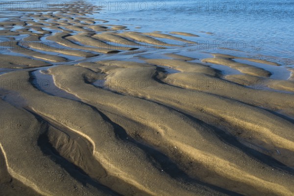 Low tide on the west coast of Sylt near Westerland, Sylt, Westerland, Schleswig-Holstein, Germany
