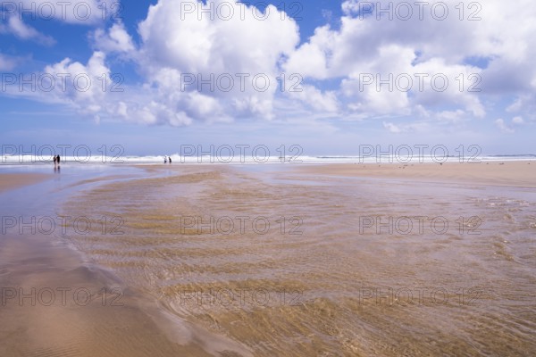 Five-Mile-Beach on New Zealand's North Island, Beach, New Zealand, North Island