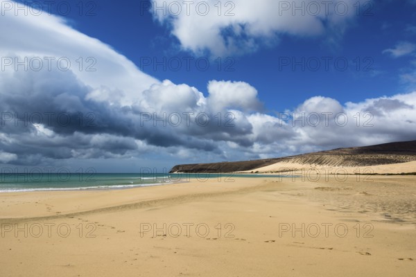 Atlantic coast of Fuerteventura, Canary Islands, Fuerteventura, Spain