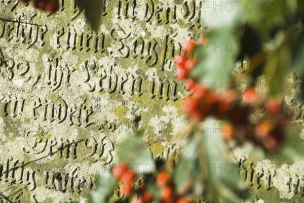 Old gravestones in the cemetery of the village of fog on the North Frisian island of Amrum, Amrum, fog, North Frisia, Germany