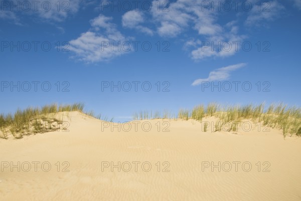 Dune landscape in front of a blue sky on the beach of Norddorf on the North Frisian island of Amrum, Amrum, Norddorf, North Frisia, Germany