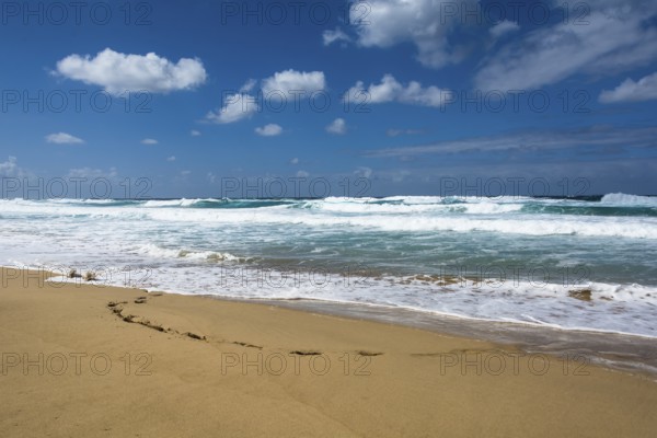 Atlantic coast of Fuerteventura, Canary Islands, Fuerteventura, Spain