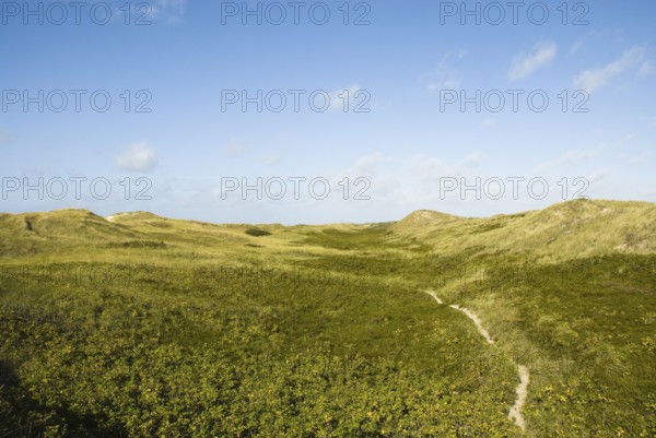 The Frisian Caribbean, North Frisian island of Amrum, North Frisia, North Germany, Germany
