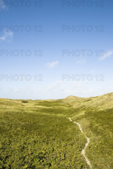 The Frisian Caribbean, North Frisian island of Amrum, North Frisia, North Germany, Germany