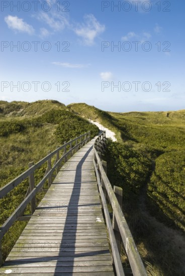 The Frisian Caribbean, North Frisian island of Amrum, North Frisia, North Germany, Germany