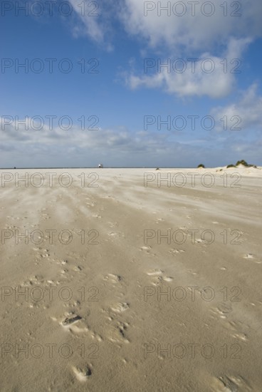 A strong storm whistles across the desert-like western beach of the North Frisian island of Amrum, Amrum, Norddorf, North Frisia, Germany