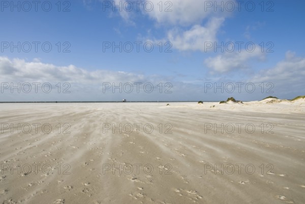 A strong storm whistles across the desert-like western beach of the North Frisian island of Amrum, Amrum, Norddorf, North Frisia, Germany