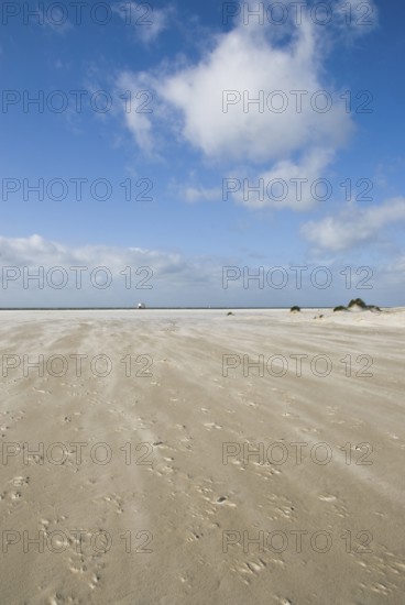A strong storm whistles across the desert-like western beach of the North Frisian island of Amrum, Amrum, Norddorf, North Frisia, Germany