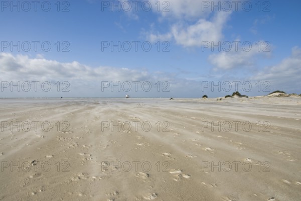 A strong storm whistles across the desert-like western beach of the North Frisian island of Amrum, Amrum, Norddorf, North Frisia, Germany